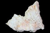 Wulfenite Crystals on Barite - Morocco #68214-1